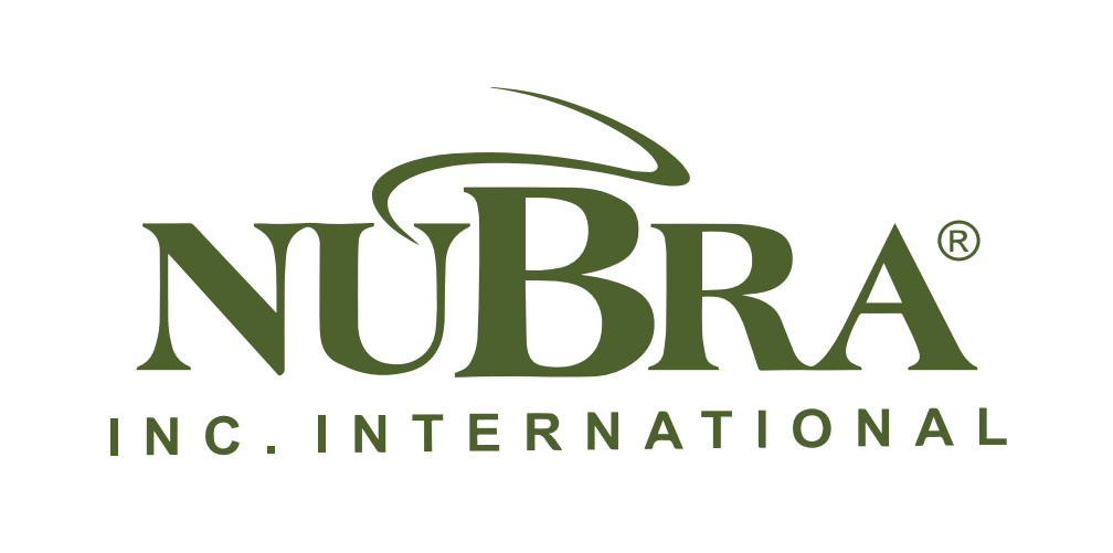 Nubra Inc